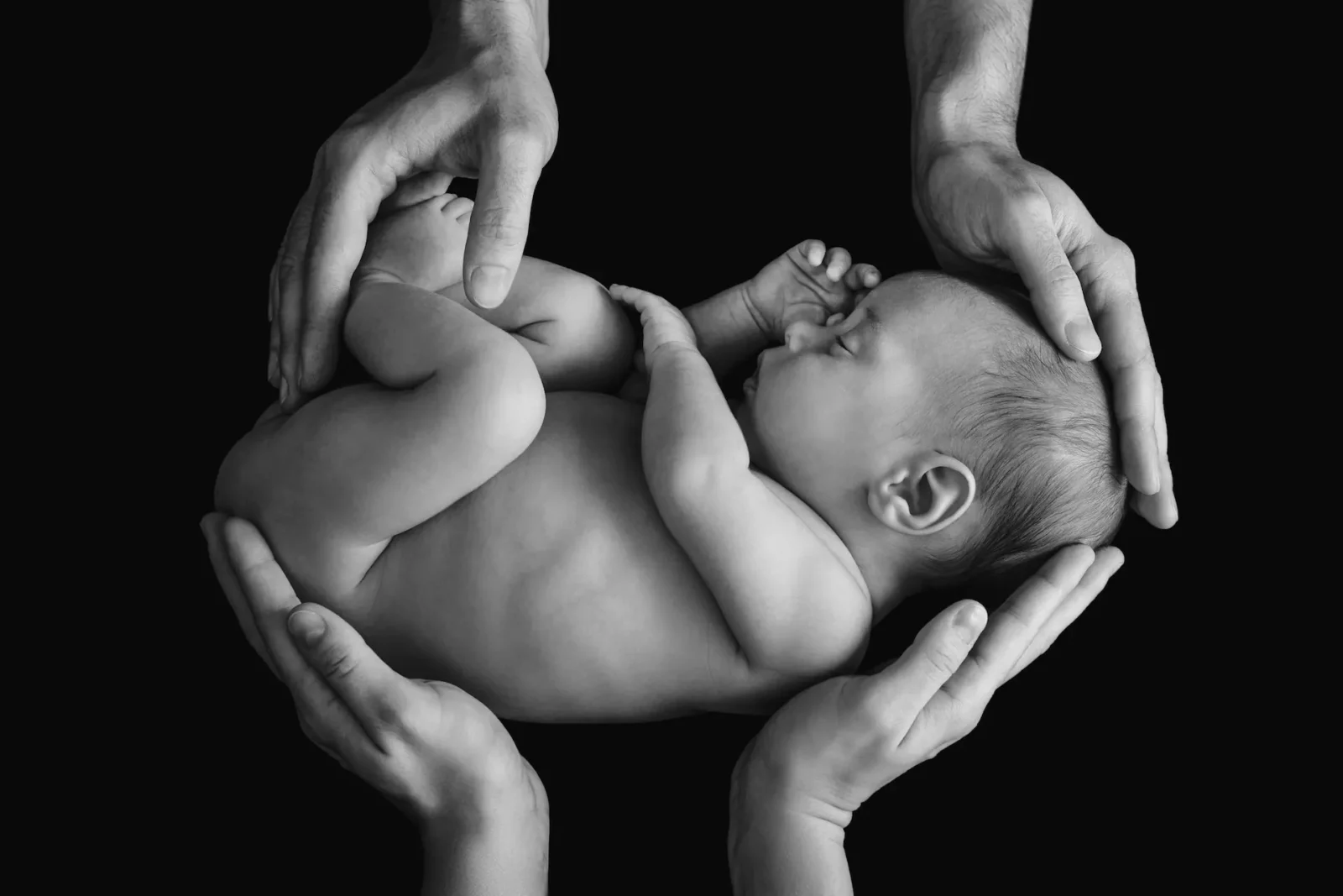 Newborn